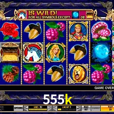 Descubra o Mundo do Cassino Online com 555k